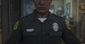 Midwest Emergency Solutions - S503A American Flag Badge.png
